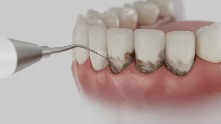 Reliable Dental contractor in Campbelltown, PA by Dentist Open Now